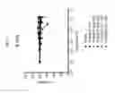 Fig. 18 - Polypeptides that Bind TRAIL-R1 and TRAIL-R2