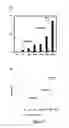 Fig. 07 - Pro-apoptotic peptides