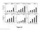 Fig. 08 - Pro-apoptotic peptides