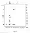 Fig. 06 - Compounds and method for inhibiting the activity of gelatinase and collagenase