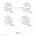 Fig. 04 - Hsp90 inhibitors with modified toxicity