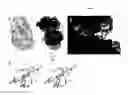 Fig. 16 - METHODS AND COMPOSITIONS FOR EXTENDING THE LIFE SPAN AND INCREASING THE STRESS RESISTANCE OF CELLS AND ORGANISMS