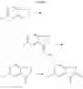 Fig. 09 - Tetracyclic Lactame Derivatives