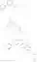 Fig. 100 - Tetracyclic Lactame Derivatives
