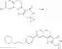 Fig. 159 - Tetracyclic Lactame Derivatives
