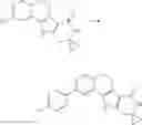 Fig. 163 - Tetracyclic Lactame Derivatives