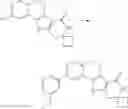 Fig. 198 - Tetracyclic Lactame Derivatives