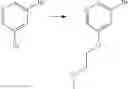 Fig. 20 - Tetracyclic Lactame Derivatives