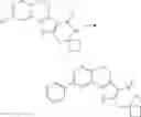 Fig. 203 - Tetracyclic Lactame Derivatives