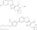 Fig. 206 - Tetracyclic Lactame Derivatives