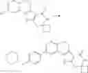 Fig. 207 - Tetracyclic Lactame Derivatives