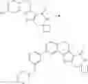 Fig. 208 - Tetracyclic Lactame Derivatives
