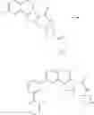 Fig. 237 - Tetracyclic Lactame Derivatives