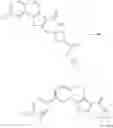 Fig. 251 - Tetracyclic Lactame Derivatives