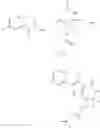 Fig. 307 - Tetracyclic Lactame Derivatives