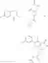 Fig. 411 - Tetracyclic Lactame Derivatives