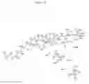 Fig. 06 - Polymorphic and amorphous salt forms of squalamine dilactate