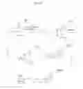 Fig. 16 - Polymorphic and amorphous salt forms of squalamine dilactate
