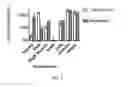 Fig. 04 - ANTIMICROBIALS