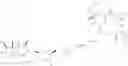 Fig. 127 - ANTIMICROBIALS