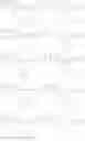 Fig. 208 - ANTIMICROBIALS