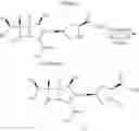 Fig. 252 - ANTIMICROBIALS