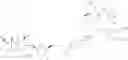 Fig. 90 - ANTIMICROBIALS
