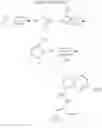 Fig. 20 - Pyrazolopyrimidine JAK inhibitor compounds and methods