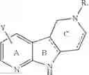 Fig. 04 - Tricyclic azaindoles