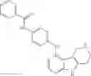 Fig. 09 - Tricyclic azaindoles