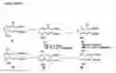 Fig. 06 - Benzo [C] phenanthridines as antimicrobial agents