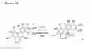 Fig. 12 - Benzo [C] phenanthridines as antimicrobial agents