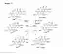 Fig. 13 - Benzo [C] phenanthridines as antimicrobial agents