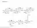 Fig. 14 - Benzo [C] phenanthridines as antimicrobial agents