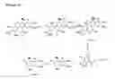 Fig. 15 - Benzo [C] phenanthridines as antimicrobial agents