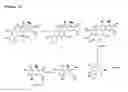 Fig. 16 - Benzo [C] phenanthridines as antimicrobial agents