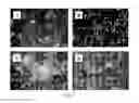 Fig. 05 - Flavonoid compounds and process for preparation thereof
