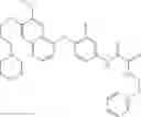 Fig. 156 - C-met modulators and method of use