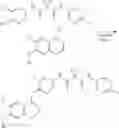 Fig. 516 - C-met modulators and method of use