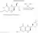 Fig. 10 - PTERIN ANALOGS