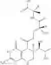 Fig. 32 - PTERIN ANALOGS