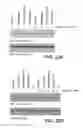 Fig. 16 - CATECHOLAMINE DERIVATIVES FOR OBESITY AND NEUROLOGICAL DISORDERS