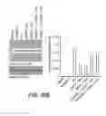 Fig. 21 - CATECHOLAMINE DERIVATIVES FOR OBESITY AND NEUROLOGICAL DISORDERS