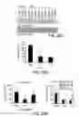 Fig. 22 - CATECHOLAMINE DERIVATIVES FOR OBESITY AND NEUROLOGICAL DISORDERS
