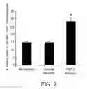 Fig. 03 - Pro-neurogenic compounds