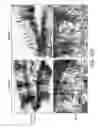 Fig. 17 - Pro-neurogenic compounds