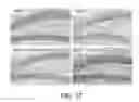 Fig. 24 - Pro-neurogenic compounds