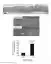 Fig. 30 - Pro-neurogenic compounds