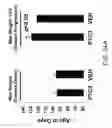 Fig. 41 - Pro-neurogenic compounds