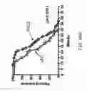 Fig. 46 - Pro-neurogenic compounds
